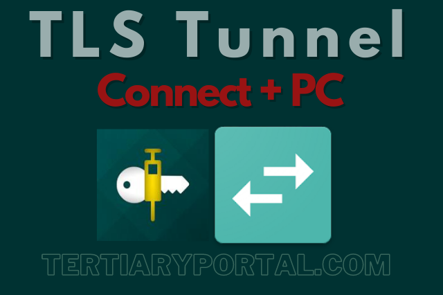 Connect TLS Tunnel To PC Via Every Proxy